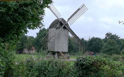 Windmühle inmitten von Grün