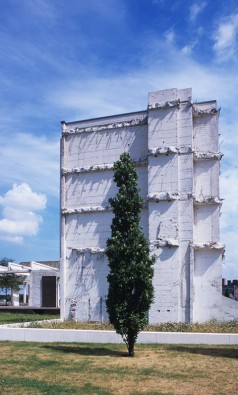 weiß getünchte hochaufragende Mauer, davor ein Baum