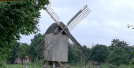 Windmühle inmitten von Grün